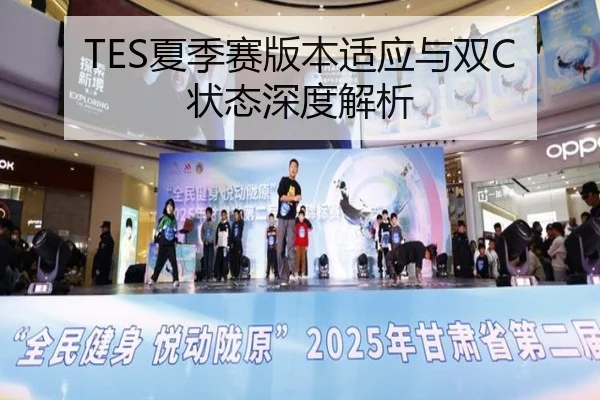 TES夏季赛版本适应与双C状态深度解析